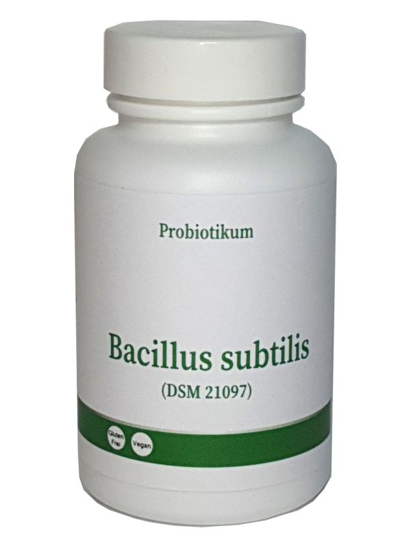 Bacillus subtilis "normal stark"